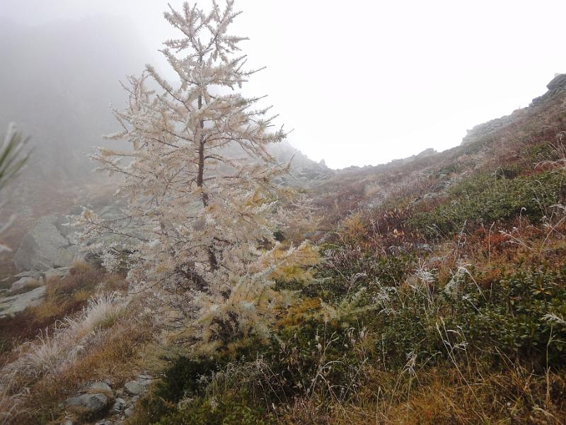 03 Colle Dondeuil e galaverna.JPG